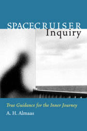 Spacecruiser Inquiry 