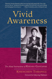 Vivid Awareness 