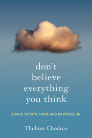 Don't Believe Everything You Think 