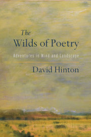 The Wilds of Poetry 