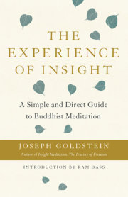 The Experience of Insight 