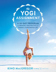 The Yogi Assignment 