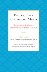 Beyond the Ordinary Mind 