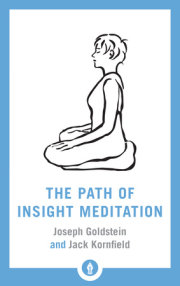 The Path of Insight Meditation 