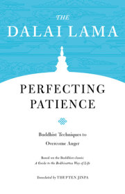 Perfecting Patience 