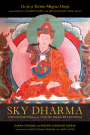 Sky Dharma 