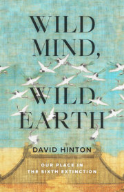 Wild Mind, Wild Earth 