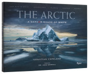 The Arctic 