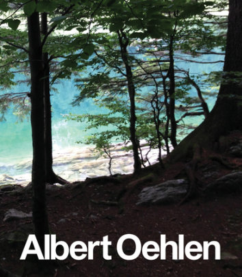Albert Oehlen - Author Daniel Baumann and Albert Oehlen, Contributions by Alexander Klar, Photographs by Esther Freund
