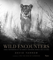 Wild Encounters 