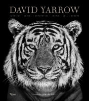 David Yarrow Photography 