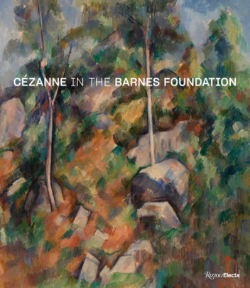 Cézanne in the Barnes Foundation - Edited by André Dombrowski and Nancy Ireson and Sylvie Patry