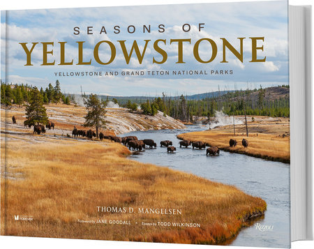Seasons of Yellowstone