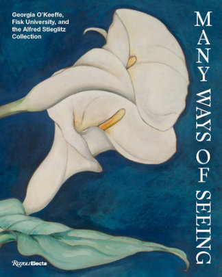 Many Ways of Seeing - Edited by Jen Padgett and Jamaal B. Sheats, Contributions by Lauren Caskey and Johnnetta Betsch Cole and Chloé Glass and Kevin Grogan and Camara Dia Holloway and Josie Johnson and Sarah Kelly Oehler and Ella Nowicki and Larissa Randall and Nancy Scott and Victor Simmons and David Sledge and Monica Blackmun Visonà