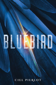 Bluebird 