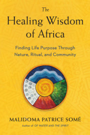 The Healing Wisdom of Africa 