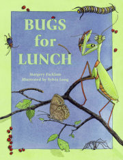 Bugs for Lunch