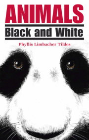 Animals Black and White 