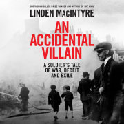An Accidental Villain 