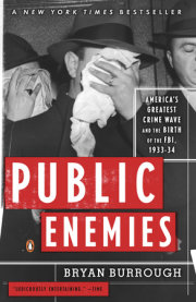 Public Enemies