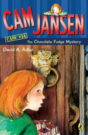 Cam Jansen: The Chocolate Fudge Mystery #14 