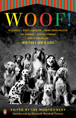 Woof!: 9781101079133 : Books