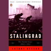 Stalingrad 