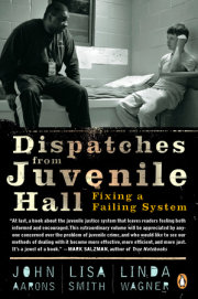 Dispatches from Juvenile Hall 
