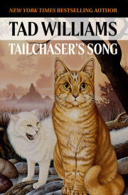 Tailchaser's Song 