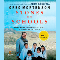Stones into Schools Cover