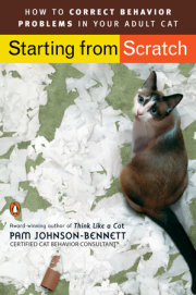 Starting from Scratch 