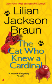 The Cat Who Knew a Cardinal 
