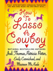 How to Lasso a Cowboy 