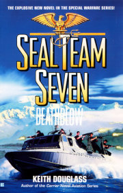Seal Team Seven 14: Death Blow 