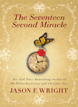 The Seventeen Second Miracle Cover