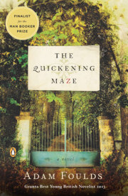 The Quickening Maze