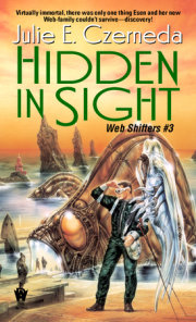 Hidden in Sight 