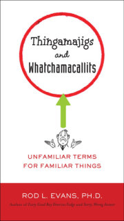 Thingamajigs and Whatchamacallits 