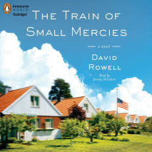 The Train of Small Mercies Cover