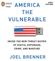 America the Vulnerable Cover