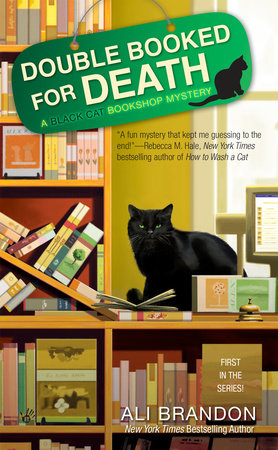 The Curious Cat Bookshop