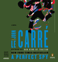 A Perfect Spy Cover