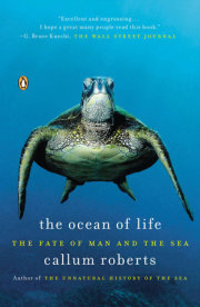 The Ocean of Life 