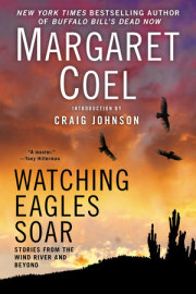 Watching Eagles Soar 