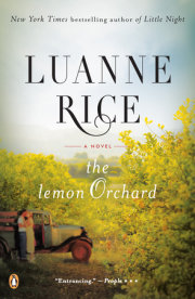 The Lemon Orchard 