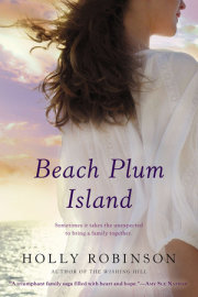 Beach Plum Island 