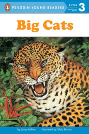 Big Cats 