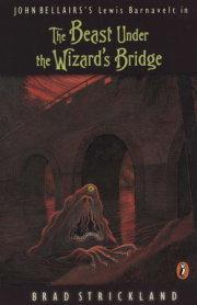 The Beast Under the Wizard's Bridge 