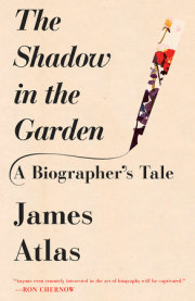 The Shadow in the Garden 