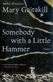 Somebody with a Little Hammer 